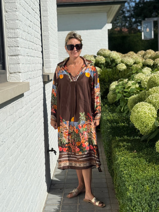 Dress Bibi chocolat